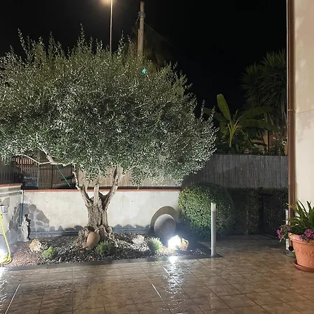 Rea Comfort E Relax Carlentini